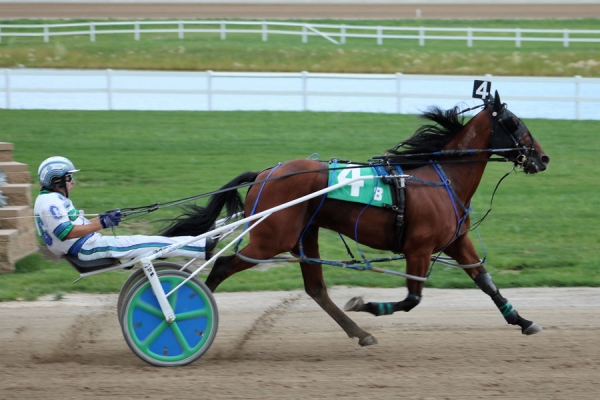 Tajmeallover and J.F. Gagne at Century Downs (t. Marjorie Dumont)