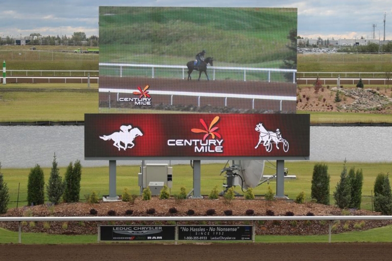 Kingston always able to get a horse ready