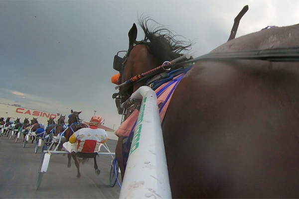 How Betting Standardbreds Made Me a Better Bettor