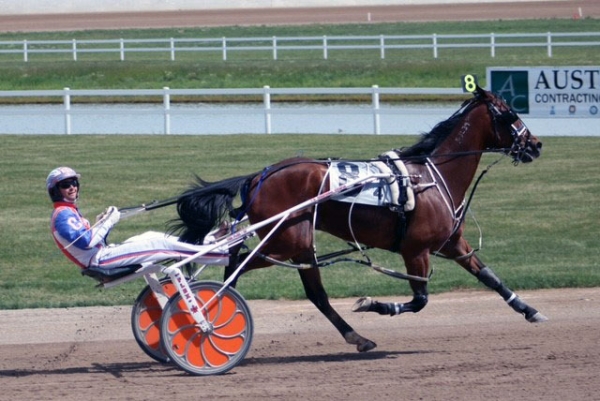 Brand new Camaro - or career in harness racing