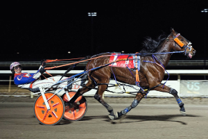 Imashipwreck and Brandon Campbell at the finish wire