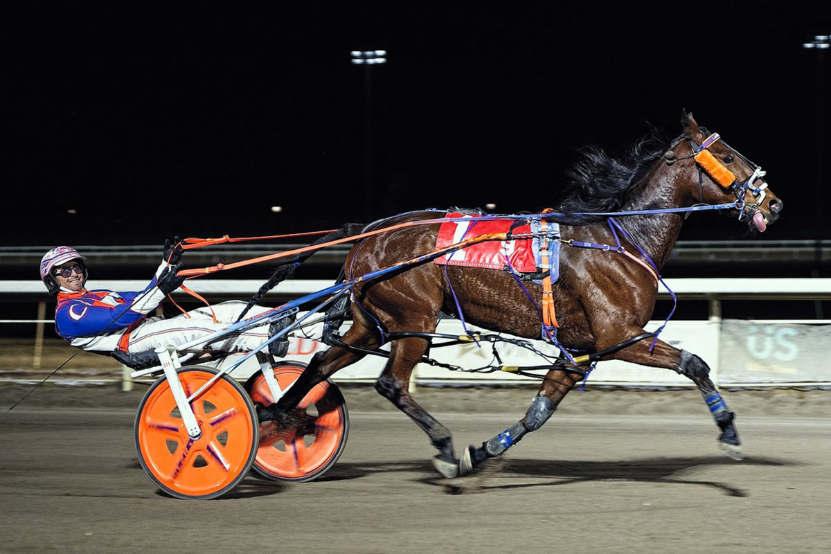 Imashipwreck and Brandon Campbell at the finish wire