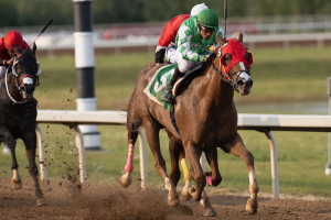 Bon Prix in the stretch at Century Mile