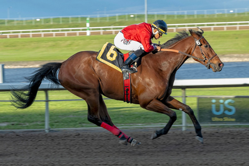 Decoy and Jose Asencio in the stretch drive of the Journal Handicap at Century Mile