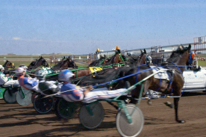 Three Things to Know for Success When Betting Horses