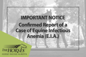 Important Notice: Confirmed Report of a Case of Equine Infectious Anemia (E.I.A.)