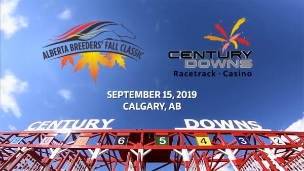 Scoll down for YouTube video