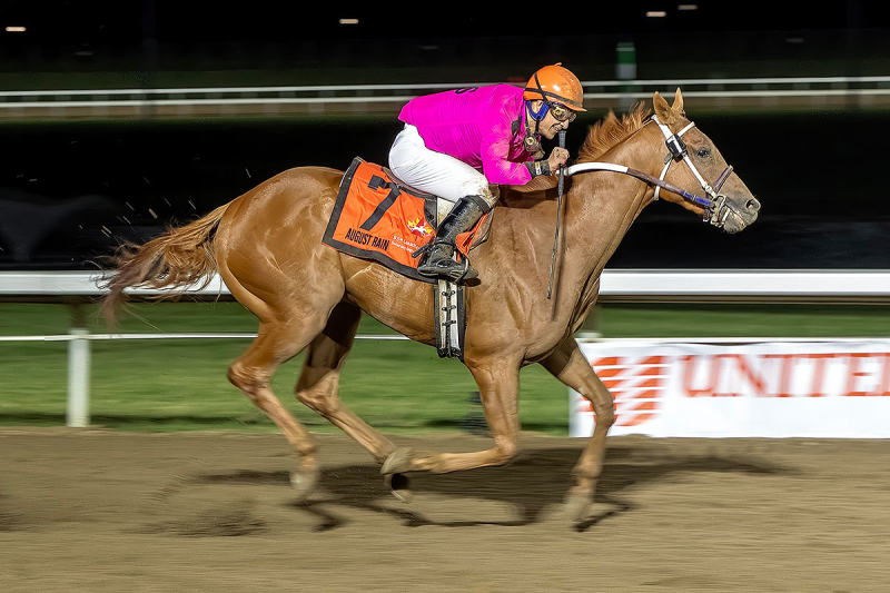 August Rain and jockey Amadeo Perez cruizing to the wire in the 95th Canadian Derby at Century Mile