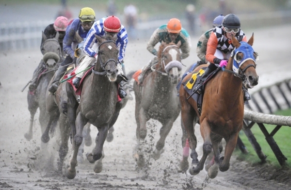 Ruben Lara aboard Killin Me Smalls (6) leads the pack at the B.C. Premiers race at muddy Hastings Racecourse in Vancouver on October 12, 2015