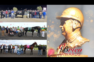 O'Briens Profiles: O'Brien Award Of Horsemanship