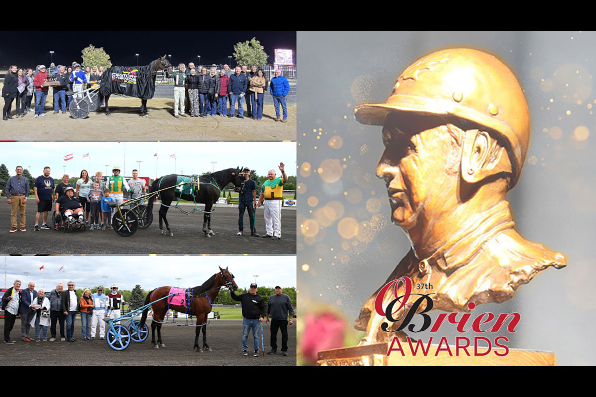 O'Briens Profiles: O'Brien Award Of Horsemanship