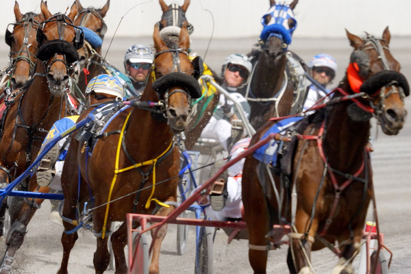 Rookie driver Logan Gillis looking forward to the winter meet at Century Mile