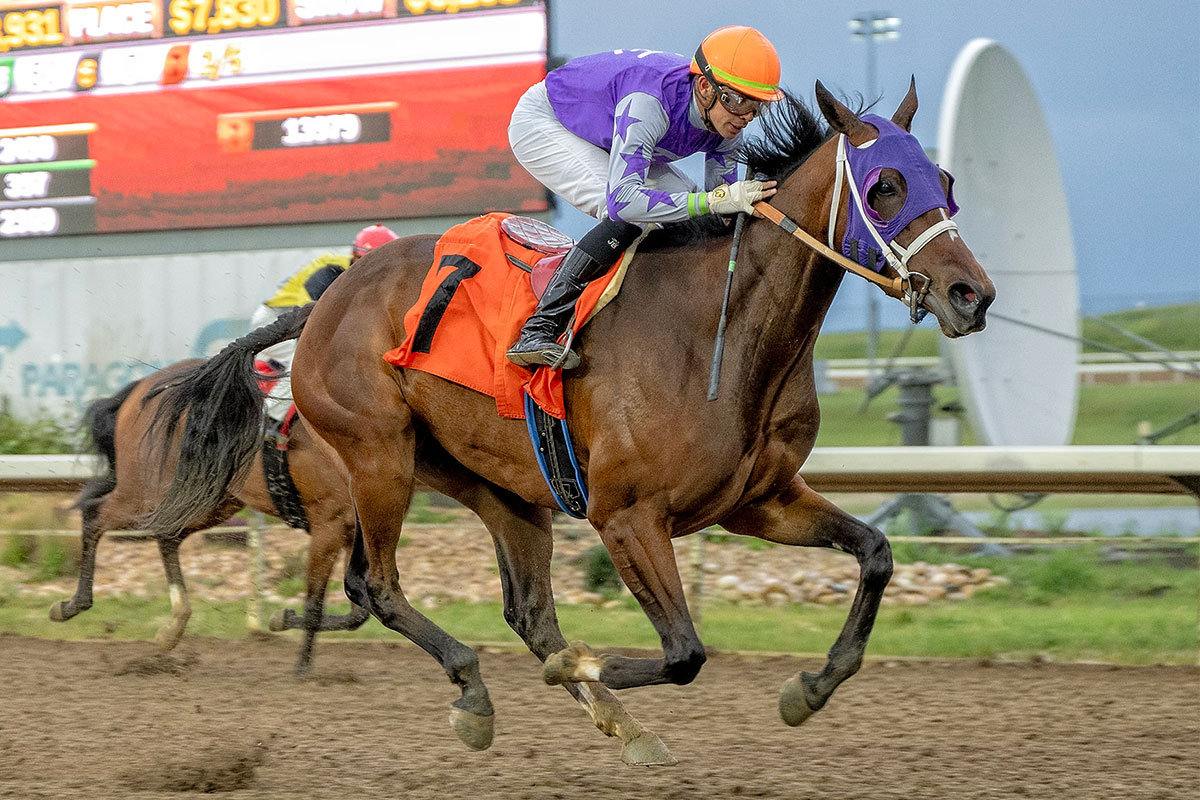 Big Hug and Rafael Zenteno Jr. in the stretch run of the Red McKenzie Handicap