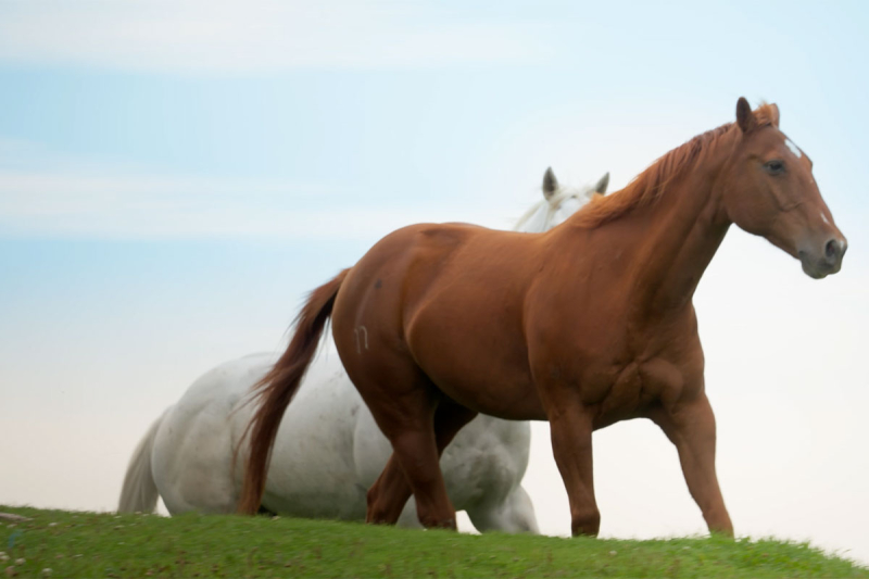 Article slate image - click player in article below...