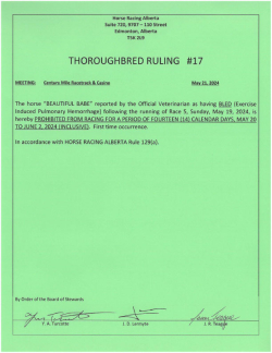 Ruling T017-2024