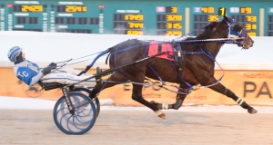 Who Doesnt at Northlands Park