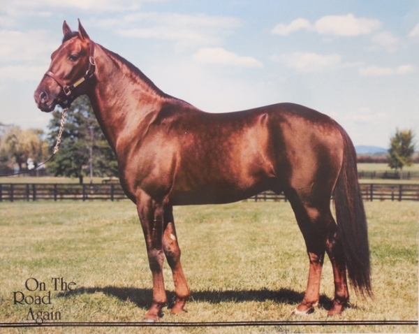 Favorites Take Rumpel Stakes