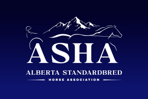 2026 ASHA Awards Night Winners