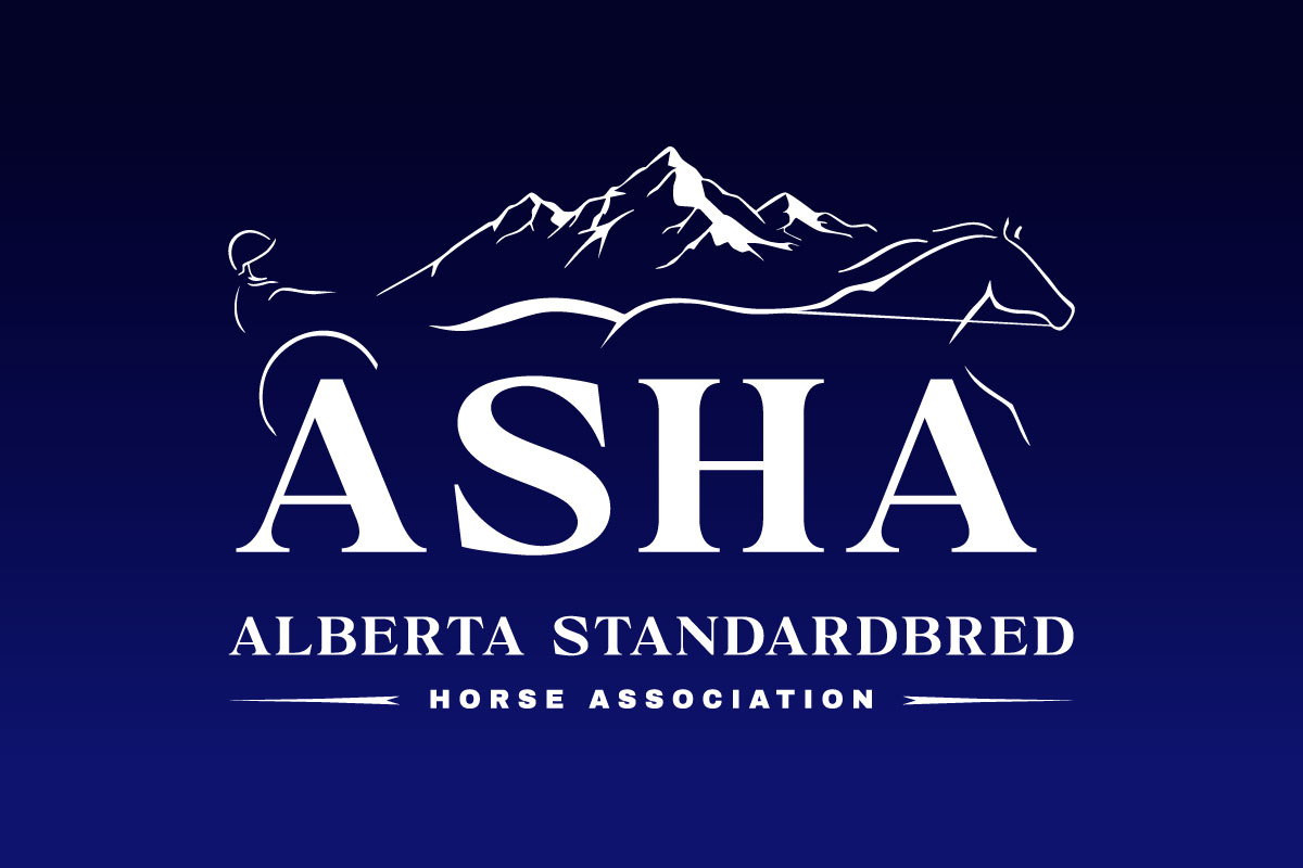 2026 ASHA Awards Night Winners