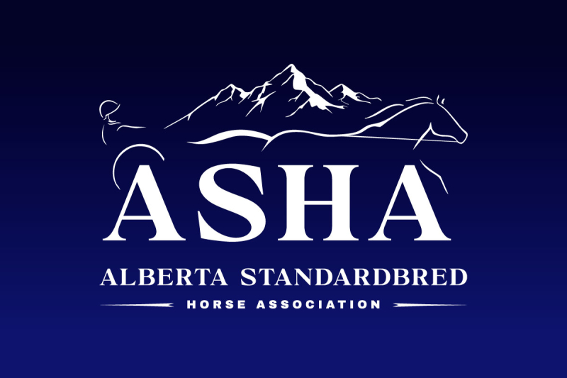 2026 ASHA Awards Night Winners