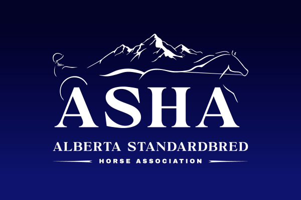 2026 ASHA Awards Night Winners