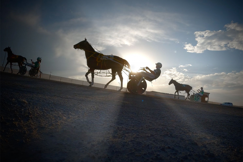 with the Brad Gunn Memorial and Norm Kennedy Memorial Stakes