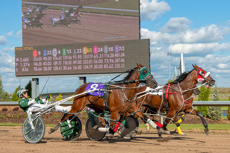 Major Custard comes with his own winner’s circle