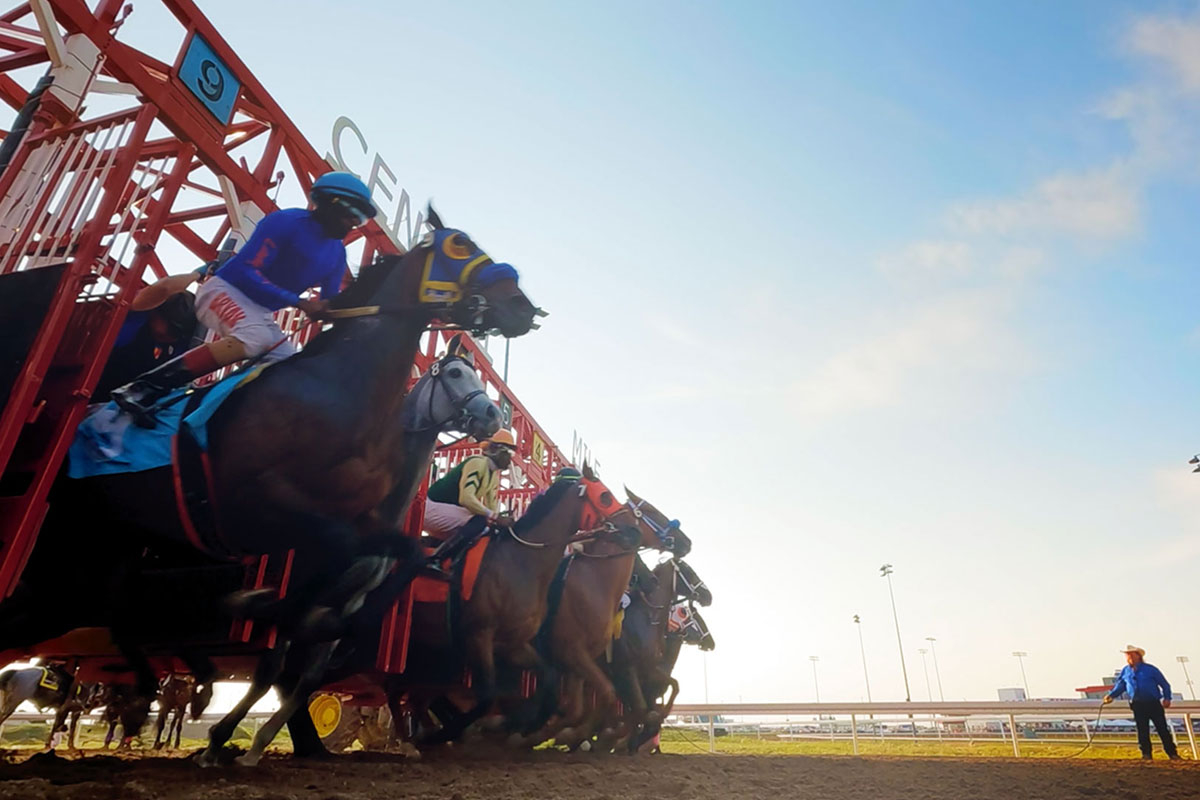 2025 Alberta Breeders' Fall Classic and Canada QH Cup Futurity Promo (video)