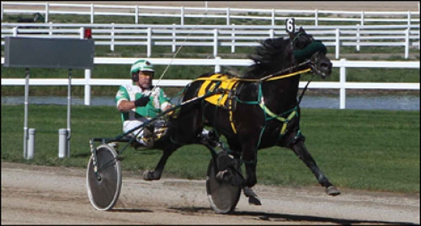 Keith Clark and First Class Horse in the 2015 Brad Gunn