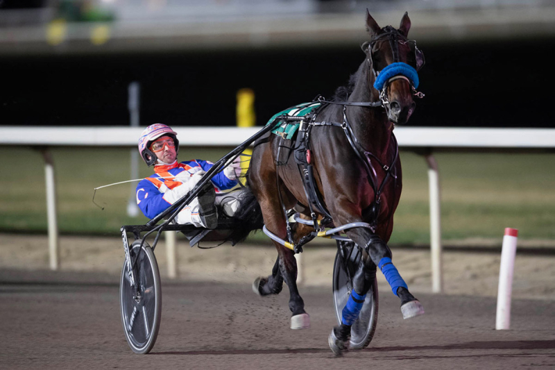 Side Piece and Brandon Campbell at the wire in the Century Casino Filly Pace