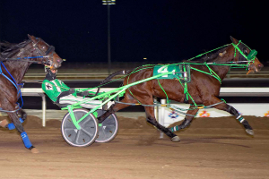 Lady Neigh Neigh, driven by Dave Kelly at Century Mile in last Sunday's feature race