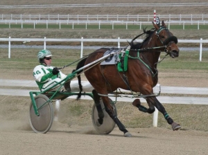 The Race &amp; Pace - Alberta Bound